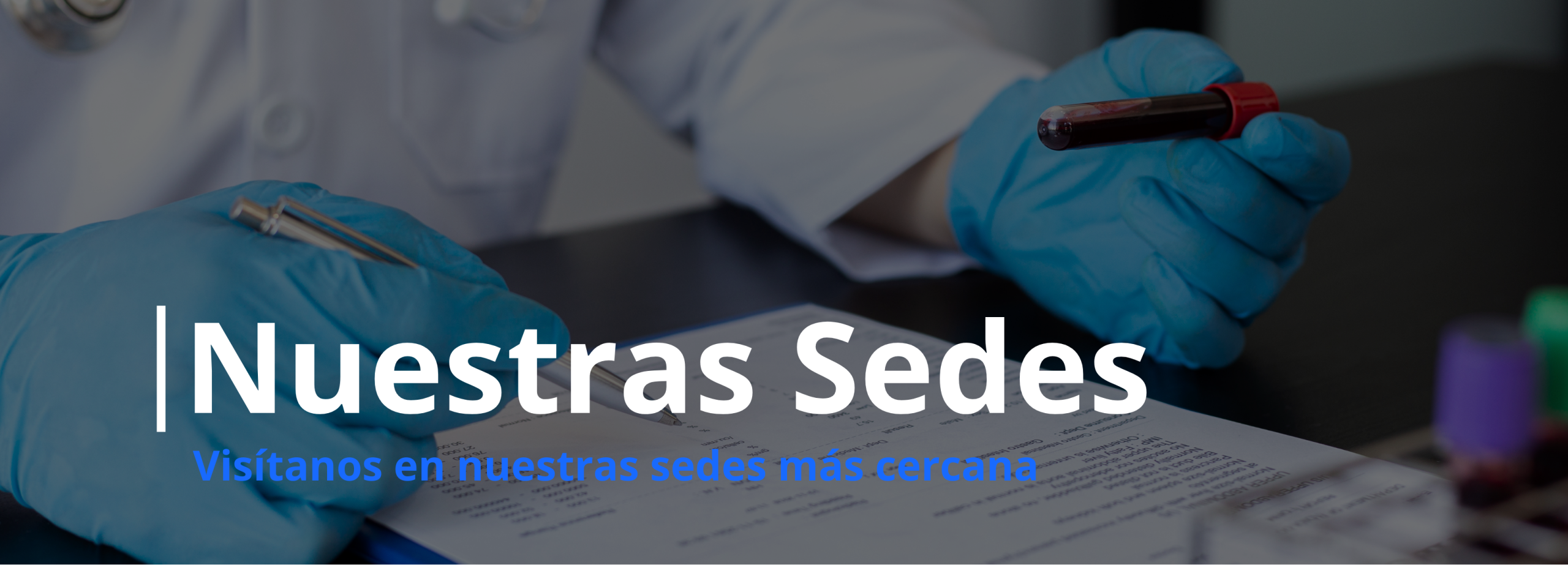 Encabezado para celular