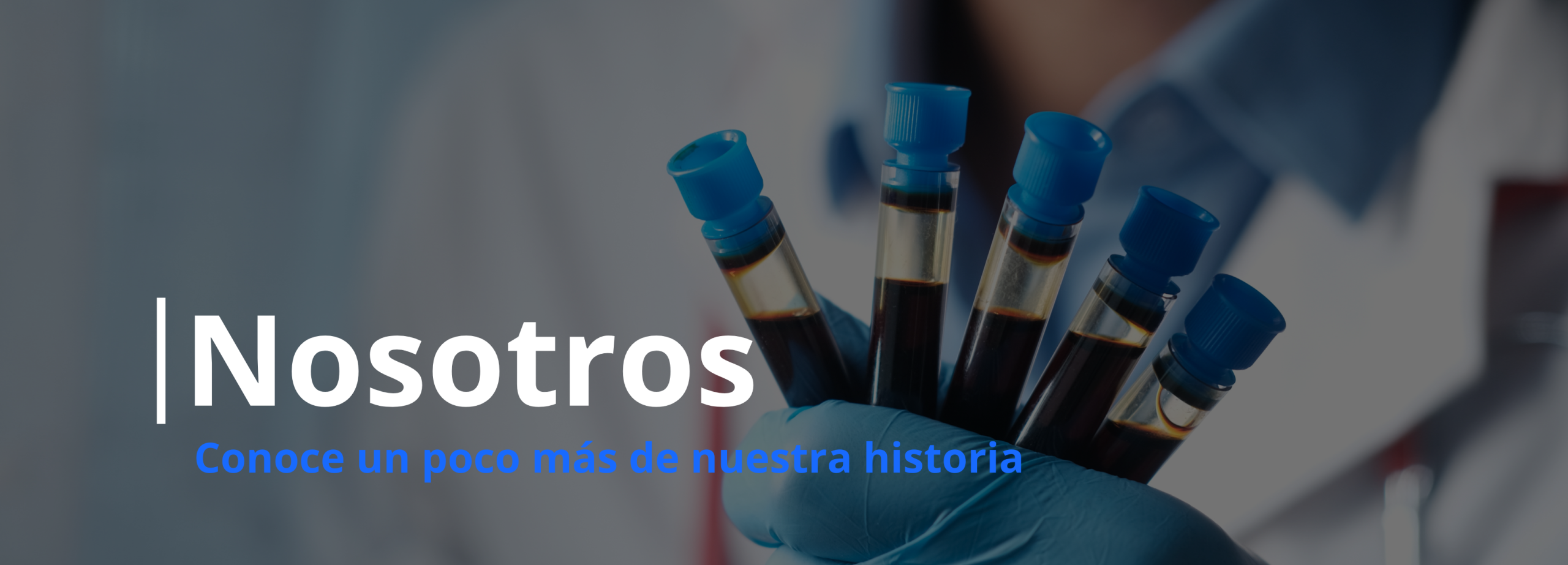 Encabezado Jisolab versión móvil