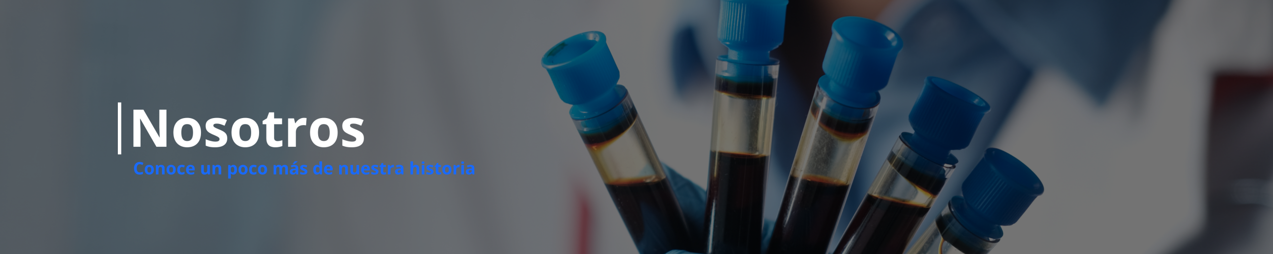 Encabezado Jisolab versión PC