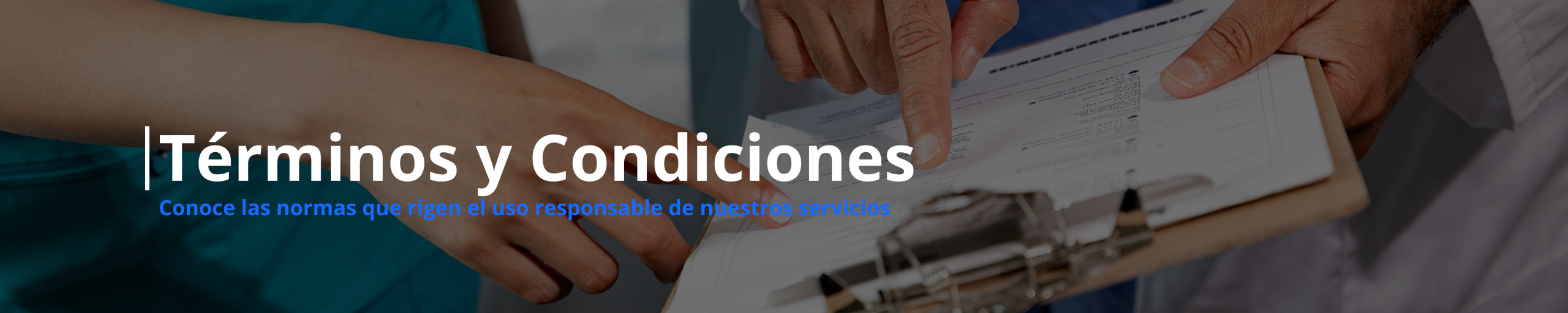 Encabezado Jisolab versión PC