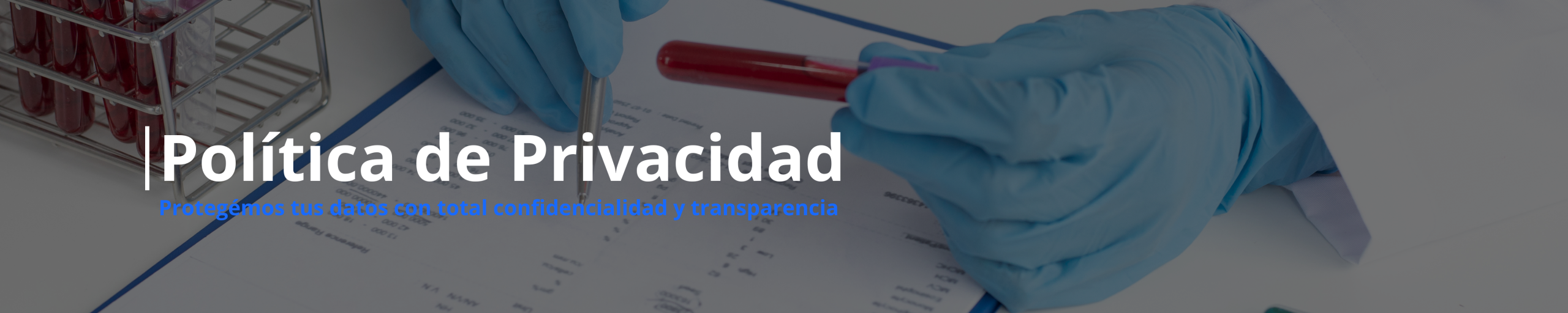 Encabezado Jisolab versión PC