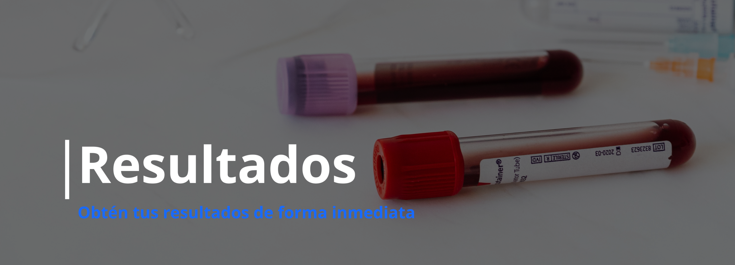 Encabezado Jisolab versión móvil