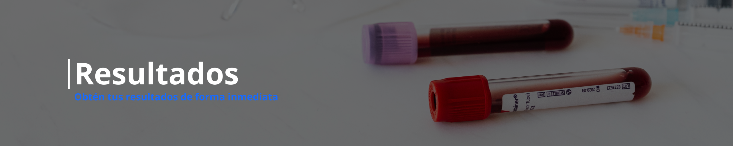 Encabezado Jisolab versión PC